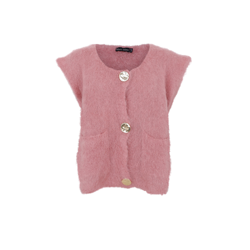 BC Bjoerk Knitted Button Vest Winter Rose
